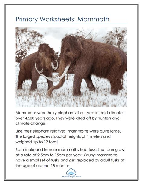 Primary Worksheets Mammoth Mr Greg X27 S English Mammoth Kindergarten Worksheet - Mammoth Kindergarten Worksheet