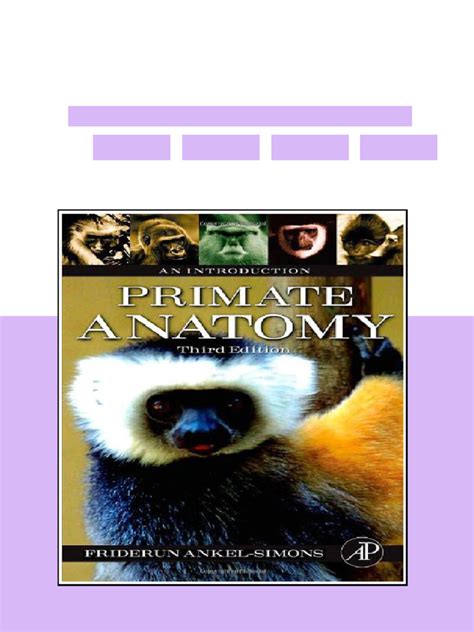 Primate Anatomy Third Edition An Introduction