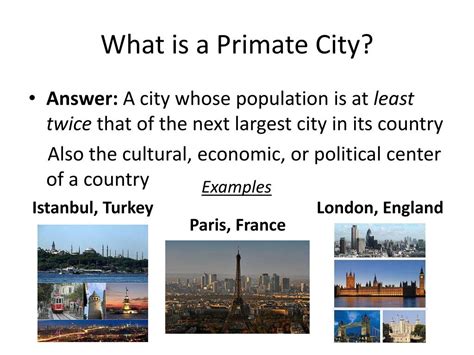 Primate City Definition