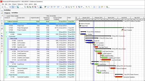 Primavera P6 Reporting With Bi Publisher 11g Oracle