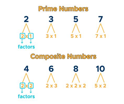 Prime Factorization Number And Operations 5th Grade Math Prime Factorization Worksheet 5th Grade - Prime Factorization Worksheet 5th Grade