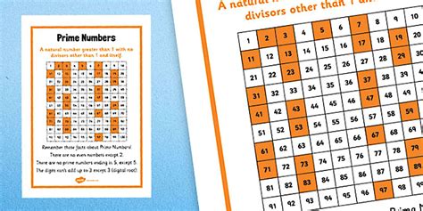 Prime Time Math Grade 6 Answer Key Bing