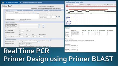 Primer Blast Software