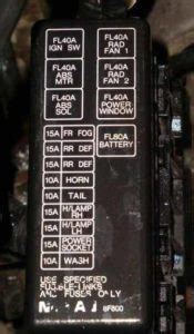 Primera P11 Fuse Layout