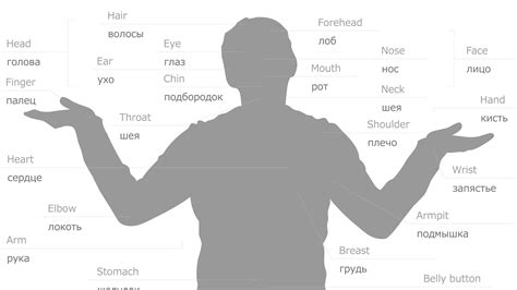 primitiivisyys – translation into Russian - from Finnish