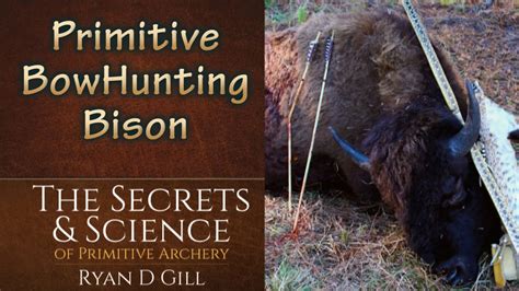 Primitive Bowhunting Bison The Secrets And Science Of Science Of Archery - Science Of Archery