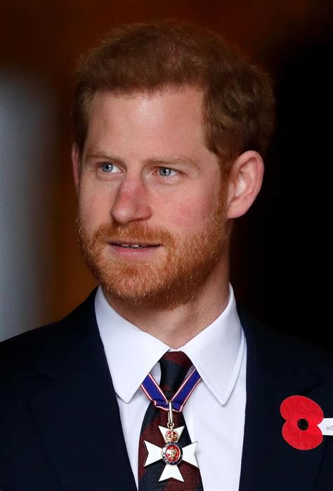 prince harry biography imdb game