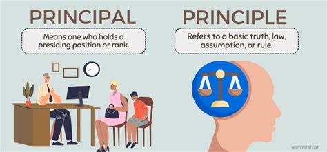 principle definition