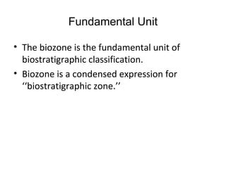 Principle Of Classification Biozone