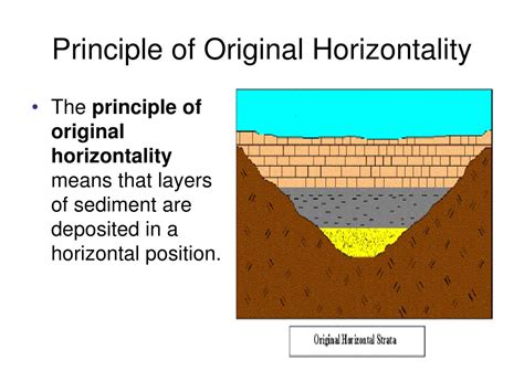 Principle Of Original Horizontality