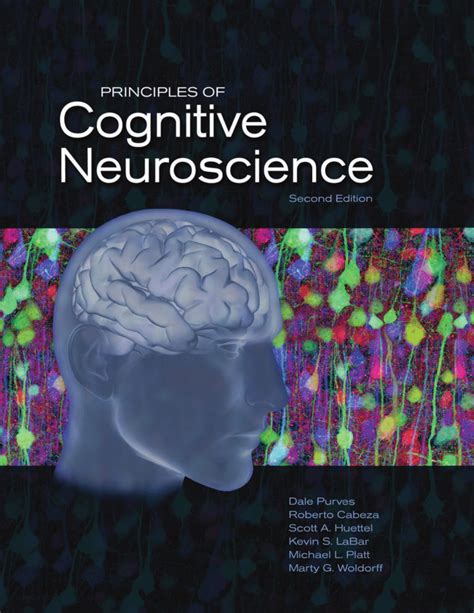 Principles Of Cognitive Neuroscience Second Edition Dale Purves