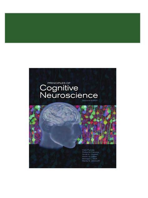 principles of cognitive neuroscience second edition