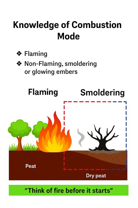 Principles Of Combustion