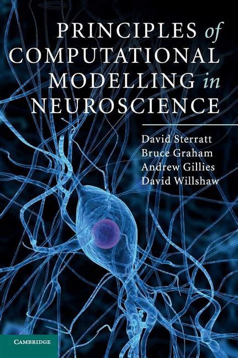 Principles Of Computational Modelling In Neuroscience