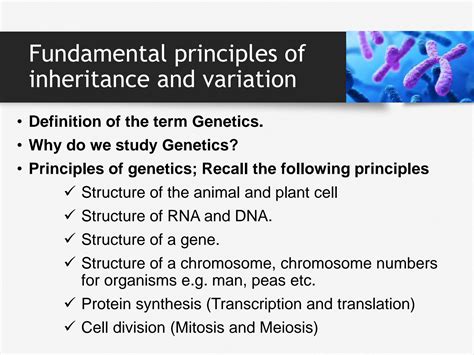 Principles Of Genetics And Study Guide And Problems Workbook To Accompany Principles Of Genetics Featuring Complete Answers And Solutions To All Text Questions And Problems