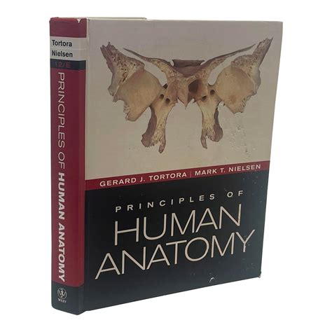 Principles Of Human Anatomy By Gerard J Tortora 2001
