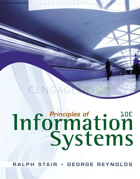 principles of information systems first canadian edition
