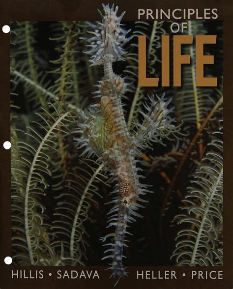 Principles Of Life Hillis