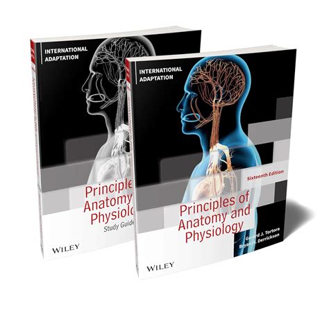 Principles Of Physiology For The Anaesthetist Third Edition