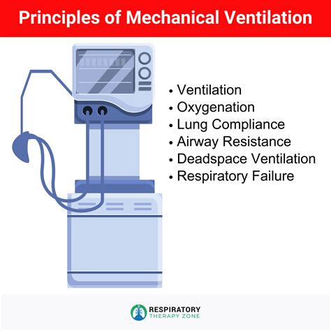 Principles Practice Of Mechanical Ventilation Third Edition