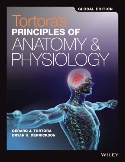Read Online Principles Of Anatomy And Physiology Tortora 