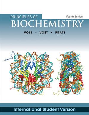 Download Principles Of Biochemistry 4Th Edition Voet Bing 