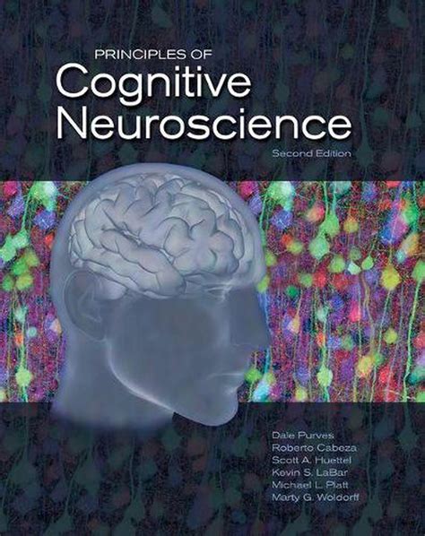 Read Online Principles Of Cognitive Neuroscience Dale Purves 