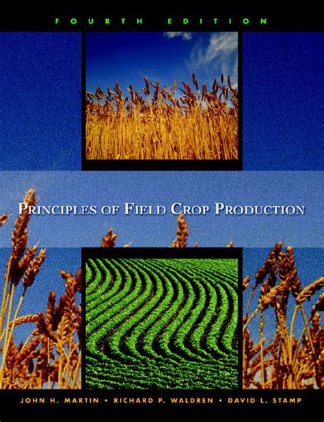 Download Principles Of Field Crop Production Sunsec 