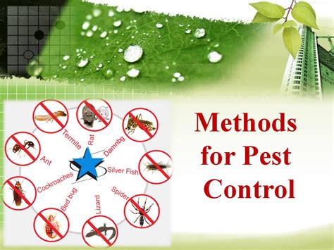 Read Principles Of Insect Pest Management 