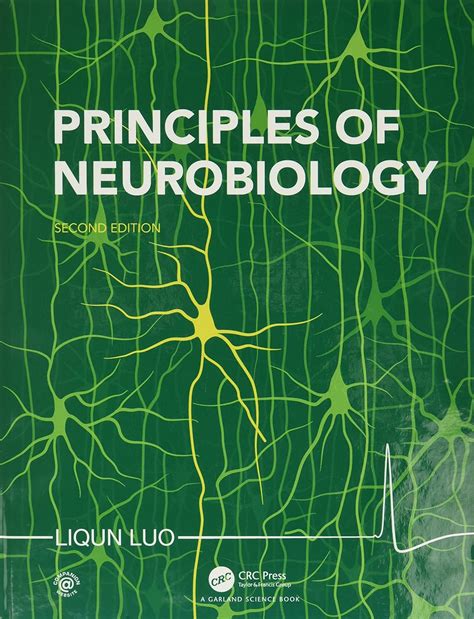 Full Download Principles Of Neurobiology 