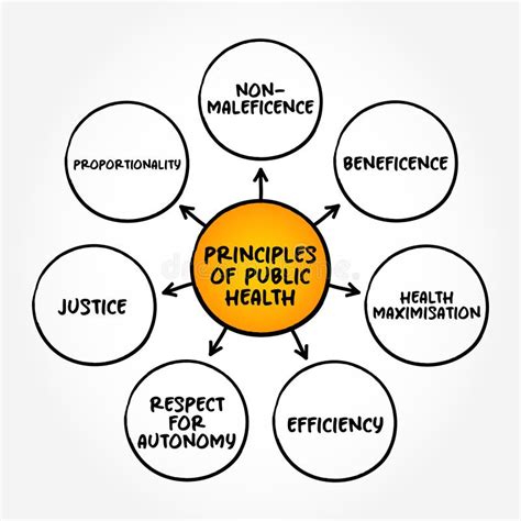 Read Online Principles Of Public Health Level 6 Mmu Web Apps 