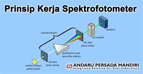 Prinsip Kerja Spektrofotometer