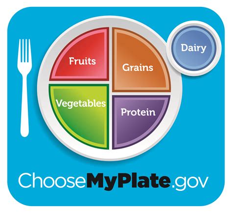 Print Resources Myplate My Plate Printable Worksheet - My Plate Printable Worksheet