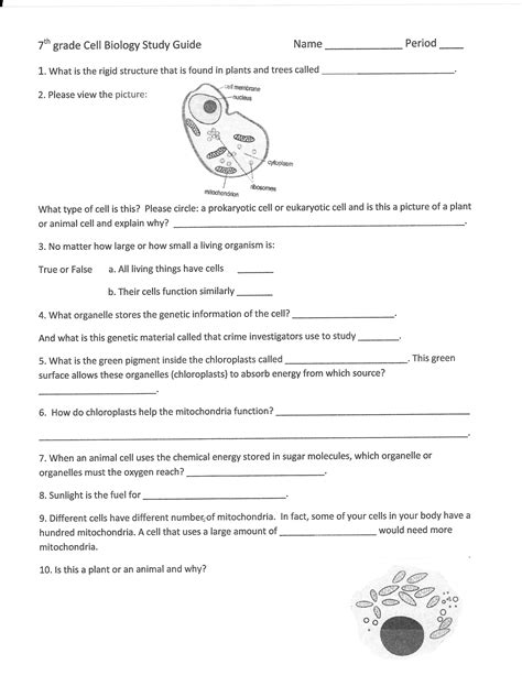 Printable 7th Grade Life Science Worksheets Education Com Organism Worksheet For 7th Grade - Organism Worksheet For 7th Grade