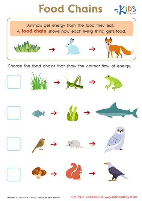 Printable Animal Food Chain Worksheet And Activity Tes Animals Food Chain Worksheet - Animals Food Chain Worksheet