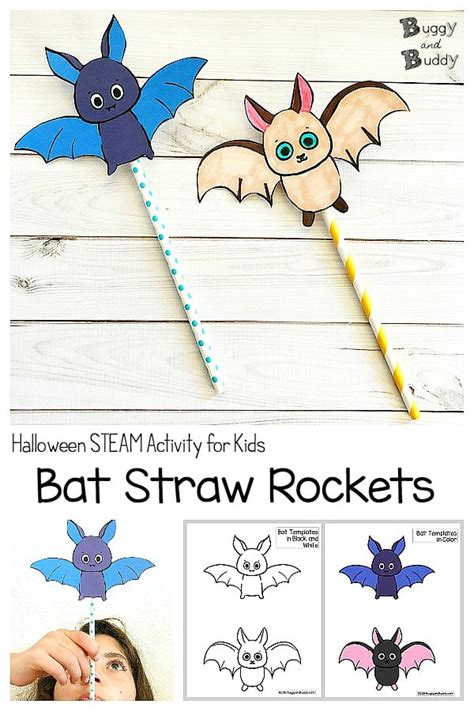 Printable Bat Science Activities For Elementary Students Bat Science Activities - Bat Science Activities