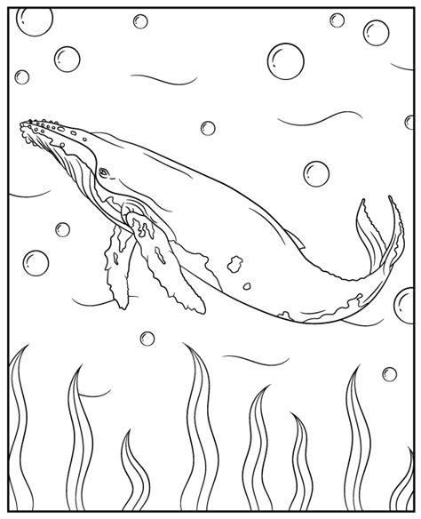 Printable Coloring Page Humpback Whale Topcoloringpages Net Humpback Whale Coloring Pages - Humpback Whale Coloring Pages
