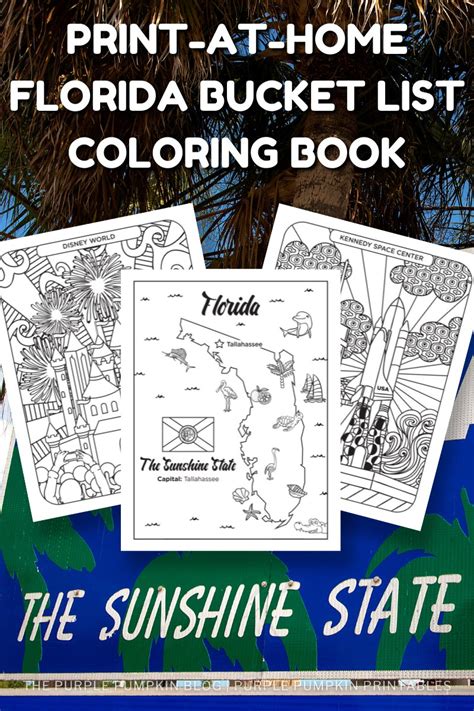 Printable Florida Bucket List Coloring Book 35 Pages Map Of Florida Coloring Page - Map Of Florida Coloring Page