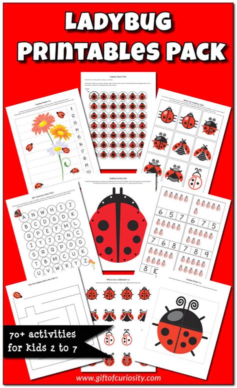 Printable Ladybug Kindergarten Activity Pack And Templates Ladybug Worksheets For Preschool - Ladybug Worksheets For Preschool