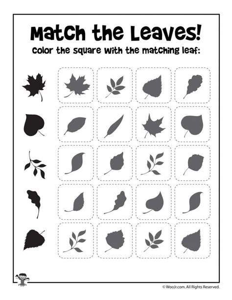 Printable Leaves Match Shadow Worksheets For Kindergarten Kindergarten Shadow Worksheet - Kindergarten Shadow Worksheet