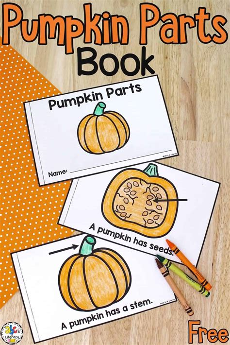 Printable Parts Of A Pumpkin Book For Kids Printable Parts Of A Book Kindergarten - Printable Parts Of A Book Kindergarten