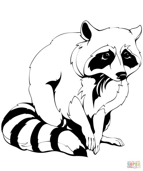Printable Raccoon Coloring Pages Coloringme Com Raccoon Picture To Color - Raccoon Picture To Color