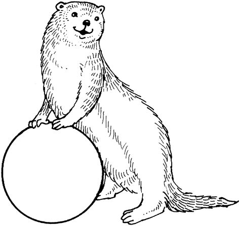 Printable Sea Otter Coloring Pages Free For Kids Sea Otter Coloring Pages - Sea Otter Coloring Pages