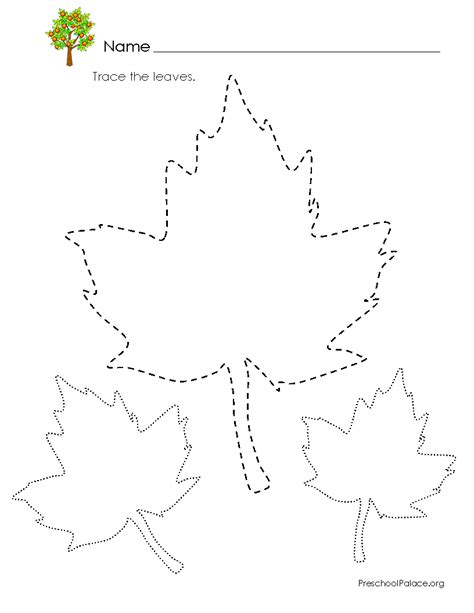 Printable Tree Leaves Tracing Activity Sheets For Kids Kindergarten Leaf Tree Worksheet - Kindergarten Leaf Tree Worksheet