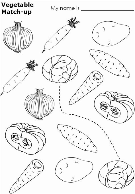Printable Vegetables Worksheet For Kindergarten   Vegetable Or Not Preschool Worksheets Free Printable Online - Printable Vegetables Worksheet For Kindergarten