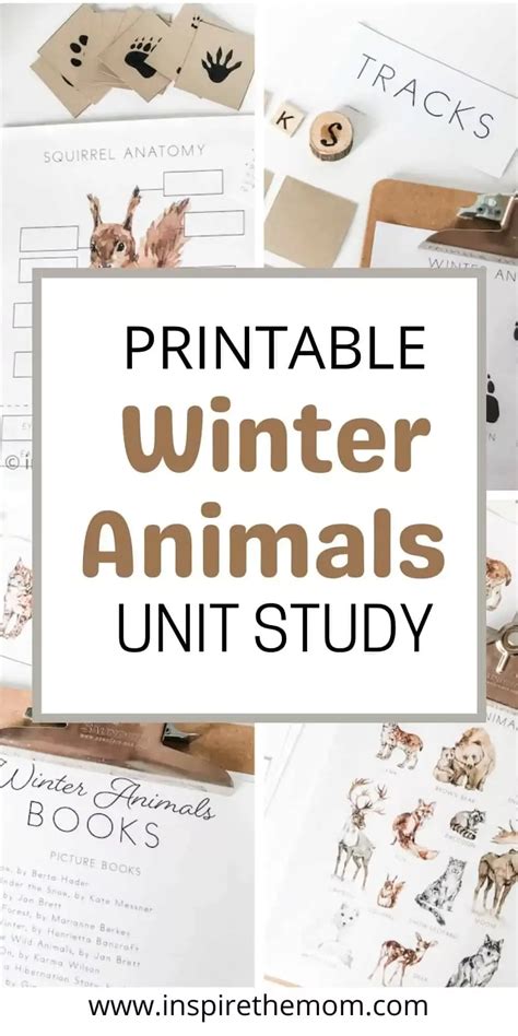 Printable Winter Animals Unit Study Inspire The Mom Kindergarten Animal Unit - Kindergarten Animal Unit