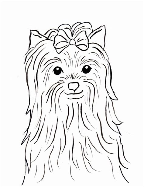 Printable Yorkie Coloring Pages   Download Yorkies Coloring For Free Designlooter 2020 - Printable Yorkie Coloring Pages