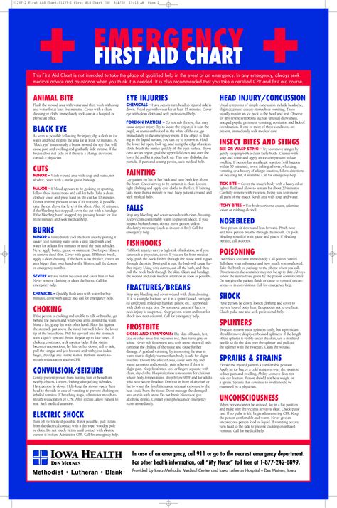 Read Online Printable First Aid Guide 