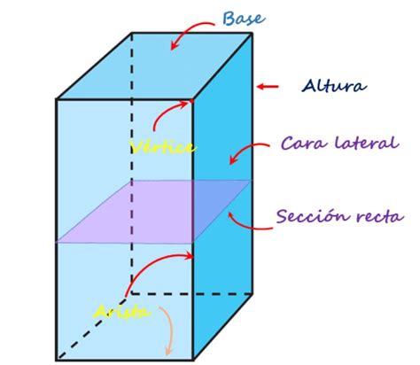 Prisma Cuadrangular Caras Vertices Y Aristas