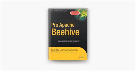 Pro Apache Beehive Experts Choice